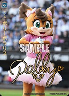 ポリーポラリス(北海道日本ハムファイターズ)(TP+) 【TBP01-TIME-F16TP+】